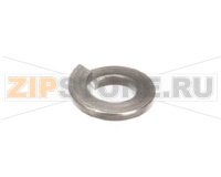 RONDELLA DI FERMO, DIVISA, 18-8 X 1/4