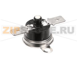 THERMOSTAT LIMIT SURF 195F MAN RES 