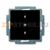 Розетка ABB 2CKA002011A6147