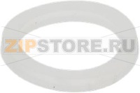 SIPHON GASKET