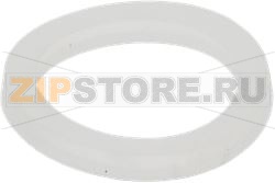 SIPHON GASKET 