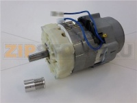 MOTORE 120V 60Hz