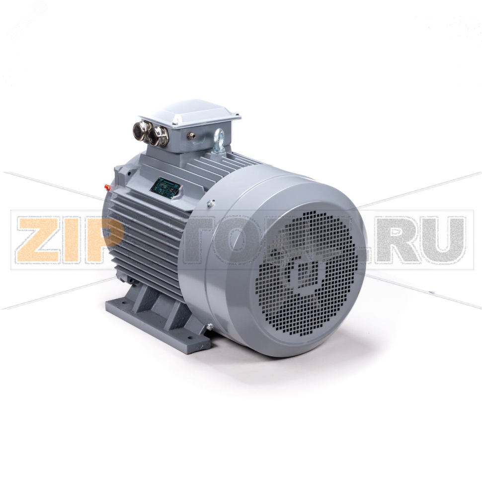 Электродвигатель трехфазный 75 кВт, 380/660 В, 1000 об/мин, IP55 ESQ 01.01.223810 