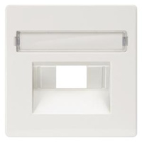 DELTA I-SYSTEM ТИТАНОВО-БЕЛЫЙ КРЫШКА СИСТЕМНОЙ РОЗЕТКИ CAT. 3+5/ BTR CAT.6 55X55MM С ПОЛЕМ ДЛЯ ПОМЕТОК Siemens 5TG2546