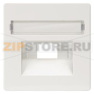 DELTA I-SYSTEM ТИТАНОВО-БЕЛЫЙ КРЫШКА СИСТЕМНОЙ РОЗЕТКИ CAT. 3+5/ BTR CAT.6 55X55MM С ПОЛЕМ ДЛЯ ПОМЕТОК Siemens 5TG2546 