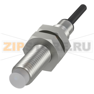 Датчик уровня наполнения емкостной, контактирующий со средой Balluff BCS002H 