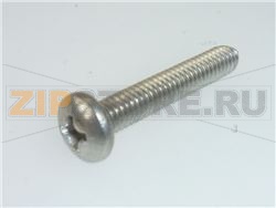 VITE INOX T.C.B.CR. M4x25 mm 