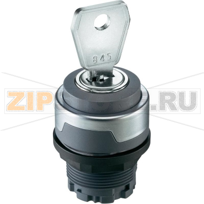 Выключатель с ключом, антрацитовый, 2x45°, 10 шт Schlegel RMCSSA24E 