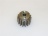 ROCCHETTO DENTATO