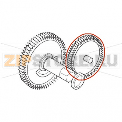 Ingranaggio z.12/90 Saeco Royal Exclusive Ingranaggio z.12/90 Saeco Royal Exclusive

Запчасть на сборочном чертеже под номером: 14

Название запчасти на итальянском языке: Ingranaggio z.12/90 Saeco Royal Exclusive