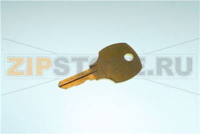 KEY,RL003,FOR 44089303 LOCK 