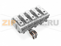 Lighting connector; push-button, external; for Linect®; with snap-in ground contact; DA+ DA- L PE N; 5-pole; Cod. I; Lighting side: for solid conductors; Inst. side: for all conductor types; max. 2.5 mm; Surrounding air temperature: max 85°C (T85); 2,50