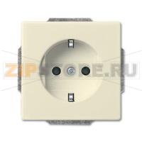 Розетка ABB 2CKA002013A5399