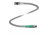 Кабель датчика-исполнительного устройства Connection cable V31-GM-A2-BK0,6M-PUR-U-V31-GM Pepperl+Fuchs