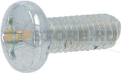 SCREW M4X10 ZN UNI 7687 
