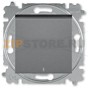 Переключатель одноклавишный с ориентировочной подсветкой, сталь ABB 2CHH590646A6069 