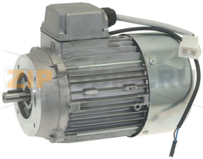 MOTORE TRIFASE 0,37Kw 230/400V 50/60Hz 