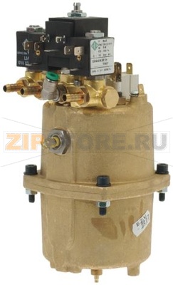 BOILER COMPLETE 600 CC 230V 