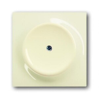 Заглушка с суппортом ABB 2CKA001753A0034