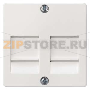 DELTA I-SYSTEM ТИТАНОВО-БЕЛЫЙ НАКЛАДКА СО ШТОРКАМИ ДЛЯ JACK/PLUG РАЗЪЕМОВ Siemens 5TG2056 