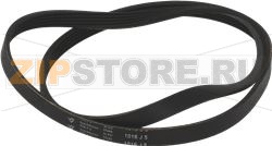 BELT HUTCHINSON 1016 J5 