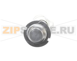 HI LIMIT/SENSOR RHW-01,2 220V 