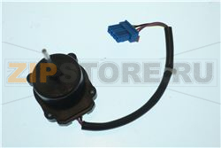 Motor Assembly,DC 