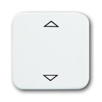 Клавиша для механизма электронного выключателя, альпийский белый ABB 2CKA006430A0399