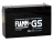 FIAMM FG 11201