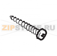 Vite aut. TCB 3,5x19 DIN 7981 C Saeco Royal Digital Plus