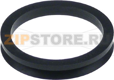 LIP GASKET 