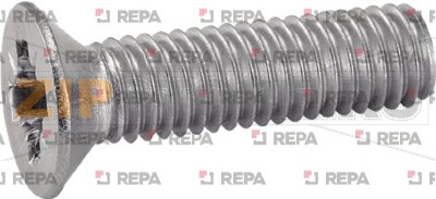 HEAD SCREW POZIDRIVE M3X6 - 200PCS 