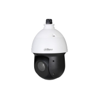 IP-видеокамера, купольная, уличная Dahua DH-SD49825GB-HNR