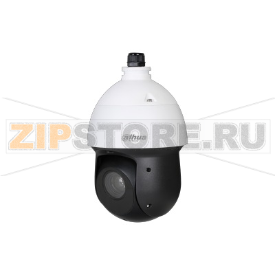 IP-видеокамера, купольная, уличная Dahua DH-SD49825GB-HNR 