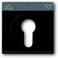 Накладка для с полем для надписи, чёрный бархат ABB 2CKA001710A3902