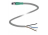 Кабель датчика-исполнительного устройства Cable connector V31S-GM-3M-PUR Pepperl+Fuchs