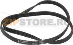 BELT HUTCHINSON 1022 J4 EL 