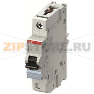 Выключатель автоматический S401P-K10 ABB 2CCG000416R0001 