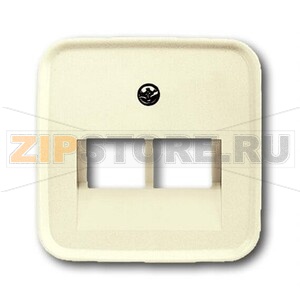 Накладка для двухпостовой розетки с полем для надписи ABB 2CKA001753A8956 
