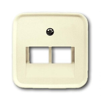 Накладка для двухпостовой розетки с полем для надписи ABB 2CKA001753A8956