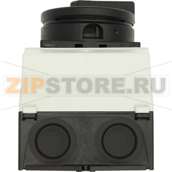 Выключатели главные, T0, 20 A, 1 модуль, 2-полюсн Eaton T0-1-102/I1/SVB-SW 