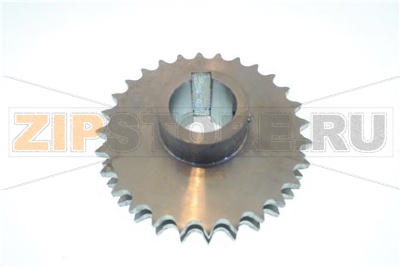 PIGNONE GRANDE PER CATENA SPIRALE 