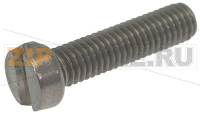 VITE A TESTA CILINDRICA M6x25 