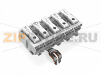 Lighting connector; push-button, external; for Linect®; with snap-in ground contact; L3-L2-L1-PE-N; 5-pole; Cod. A; Lighting side: for solid conductors; Inst. side: for all conductor types; max. 2.5 mm; Surrounding air temperature: max 85°C (T85); 2,50 m