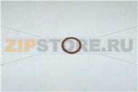 GUARNIZIONE SONDA TEMPERATURA