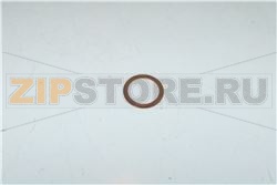 GUARNIZIONE SONDA TEMPERATURA 