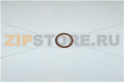 GUARNIZIONE SONDA TEMPERATURA 