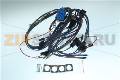 WIRING COMPLETE 2GR S APPIA19 COMPACT 