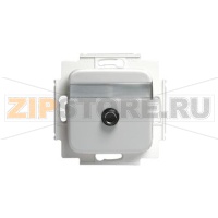 Розетка ABB 2TKA002180G1