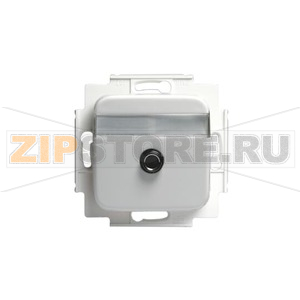 Розетка ABB 2TKA002180G1 